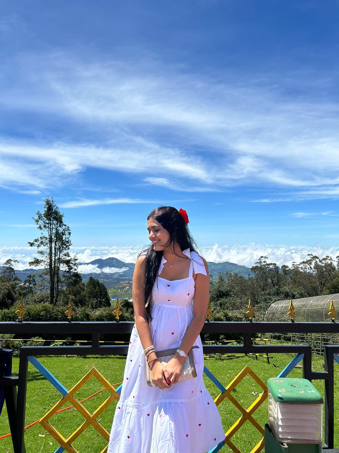 Stealing Hearts Dress